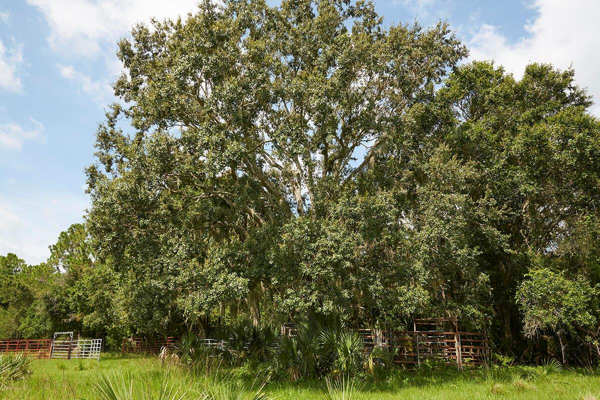 MARTIN COUNTY RANCH COMMU - Land