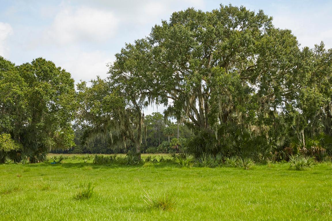 MARTIN COUNTY RANCH COMMUNITY - Land