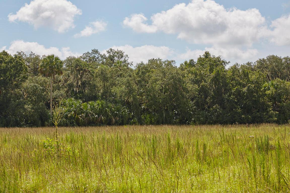 MARTIN COUNTY RANCH COMMUNITY - Land