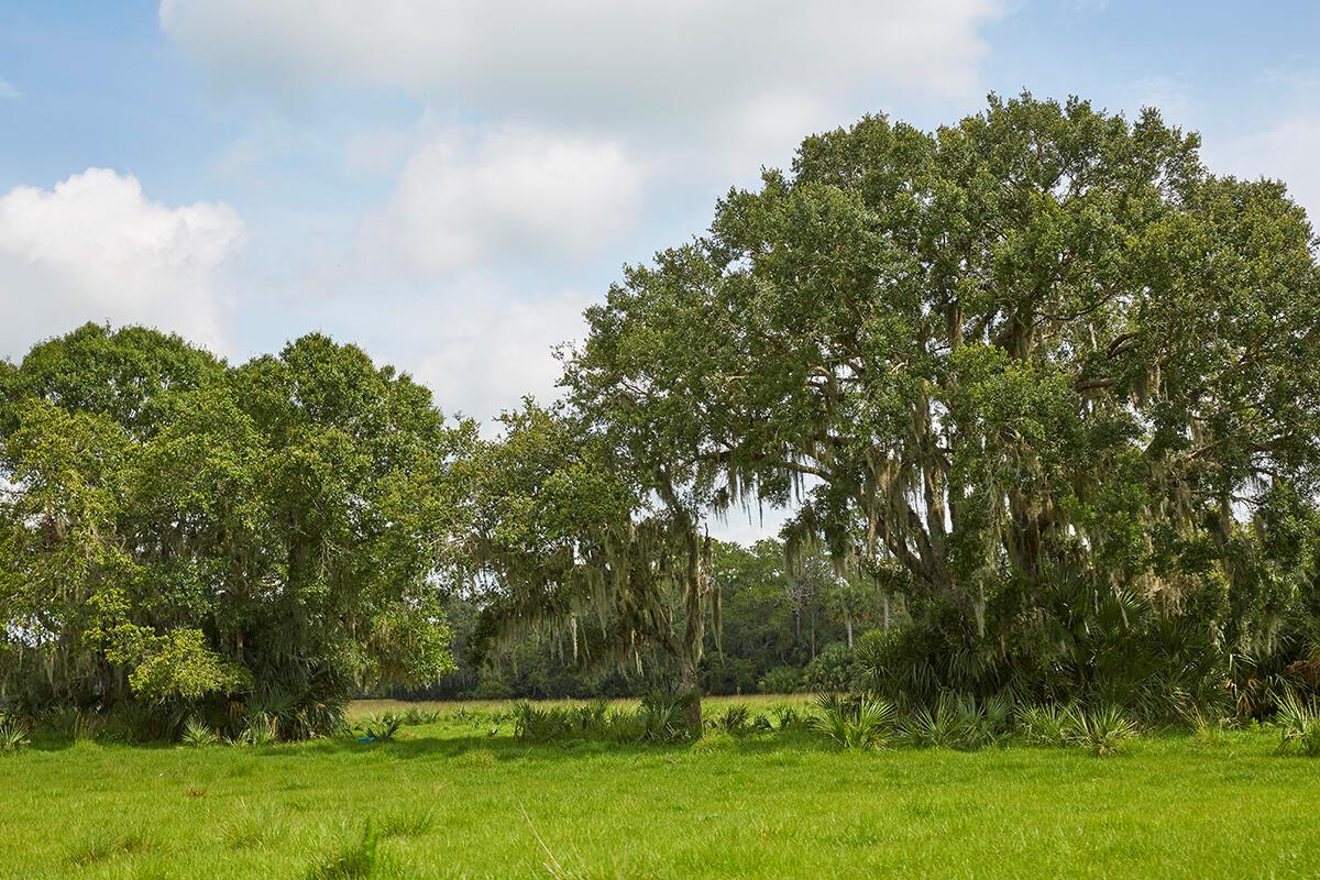 MARTIN COUNTY RANCH COMMU - Land