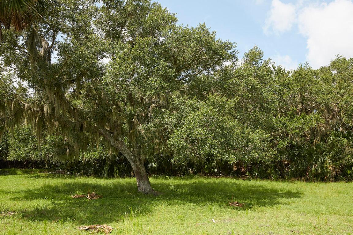 MARTIN COUNTY RANCH COMMUNITY - Land