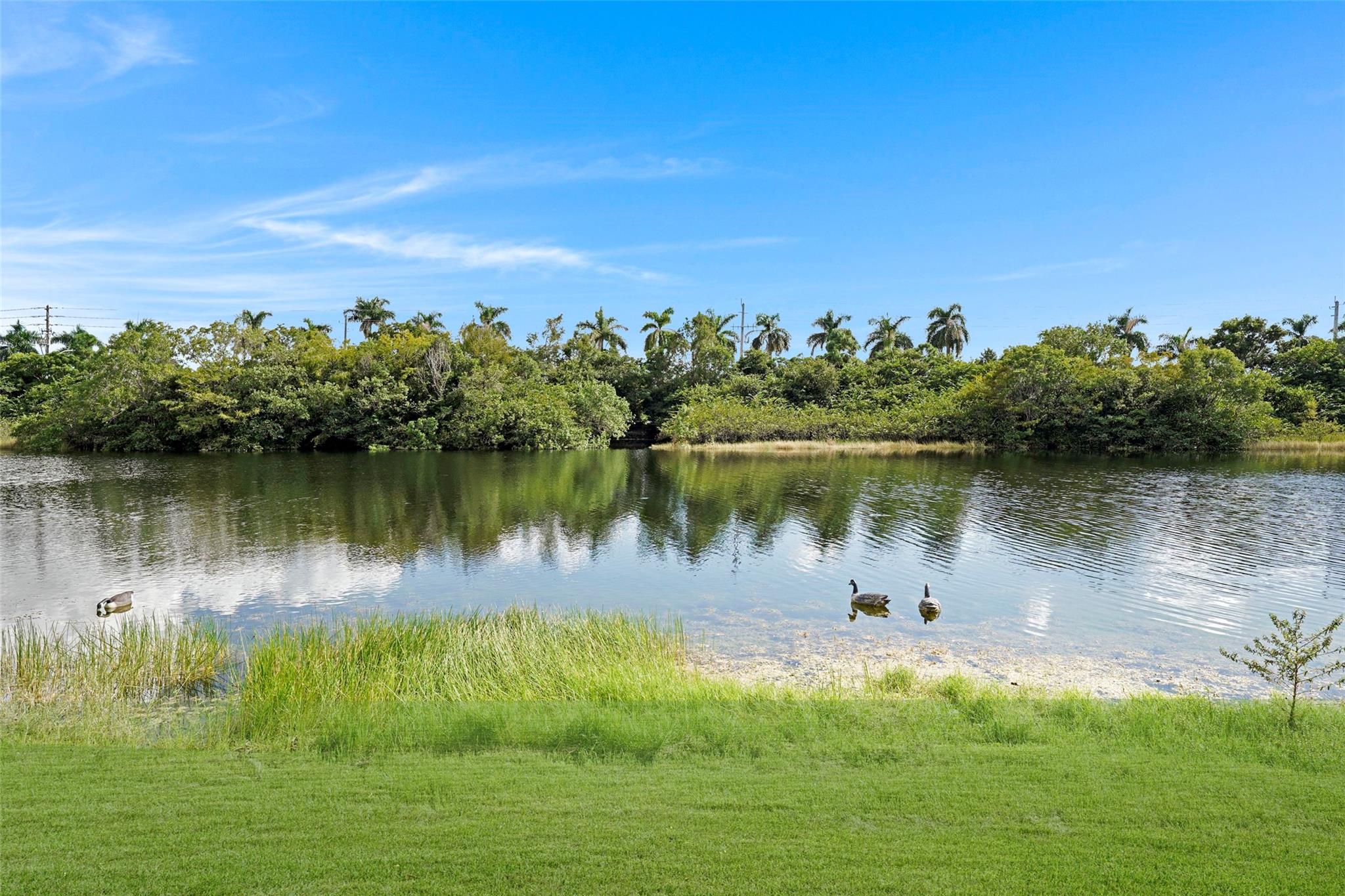 Sapphire Sound - Residential
