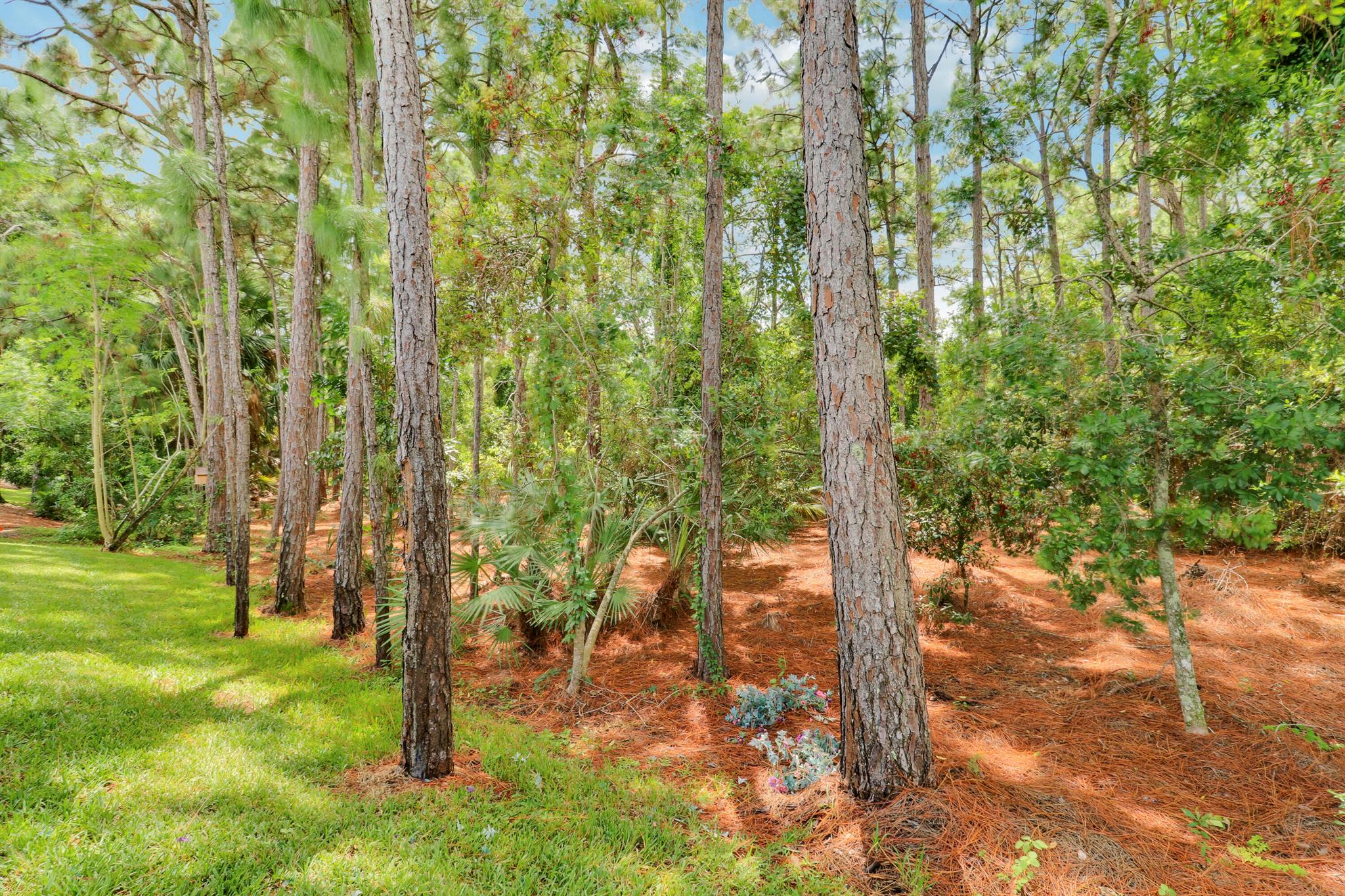 Maidstone - Residential