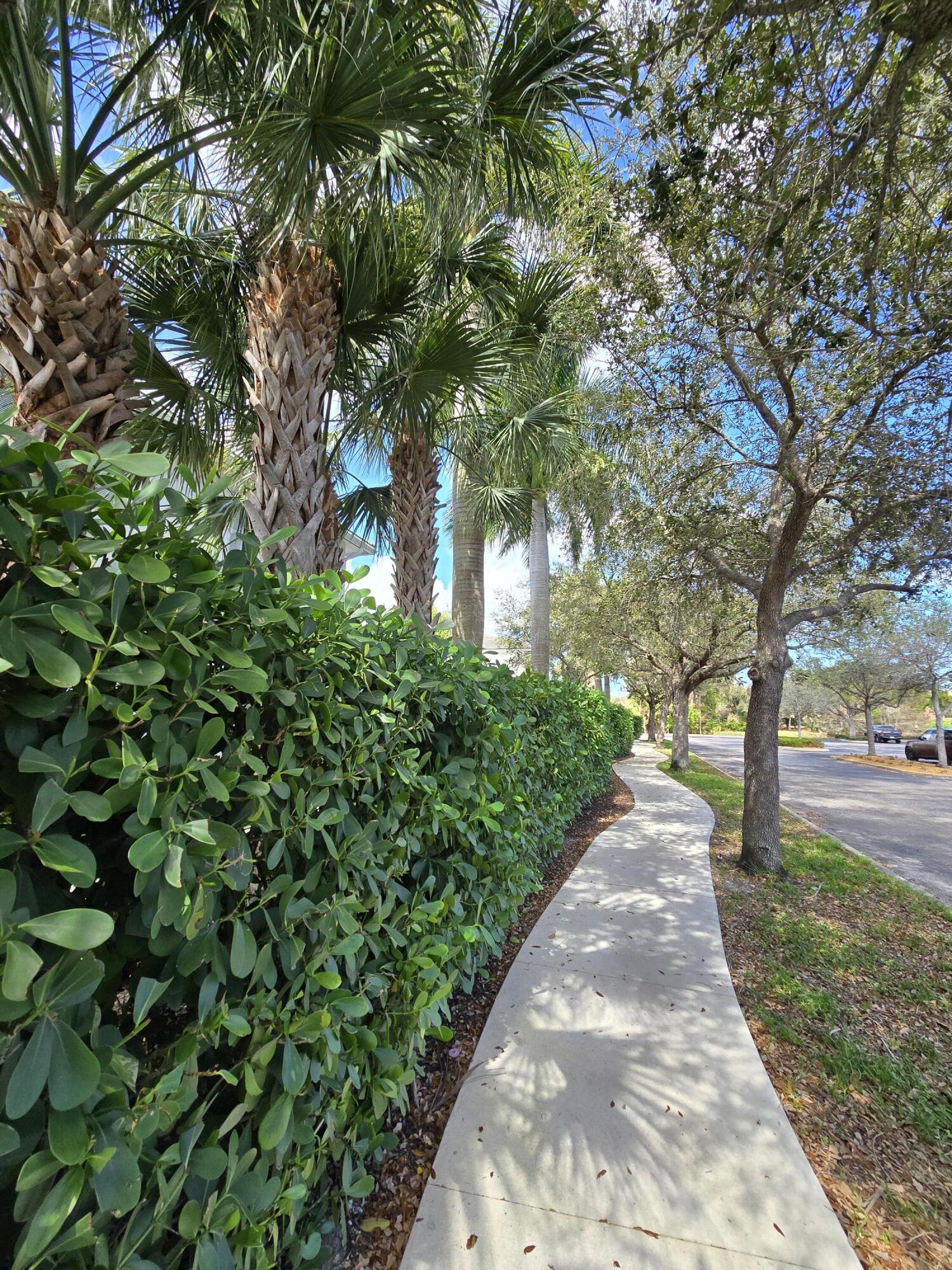 POINTE MIDTOWN - Residential