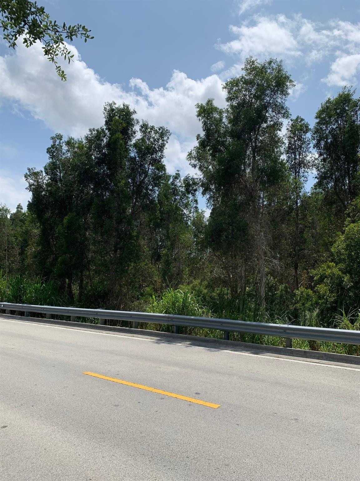 Miami Everglade Land Co S - Land