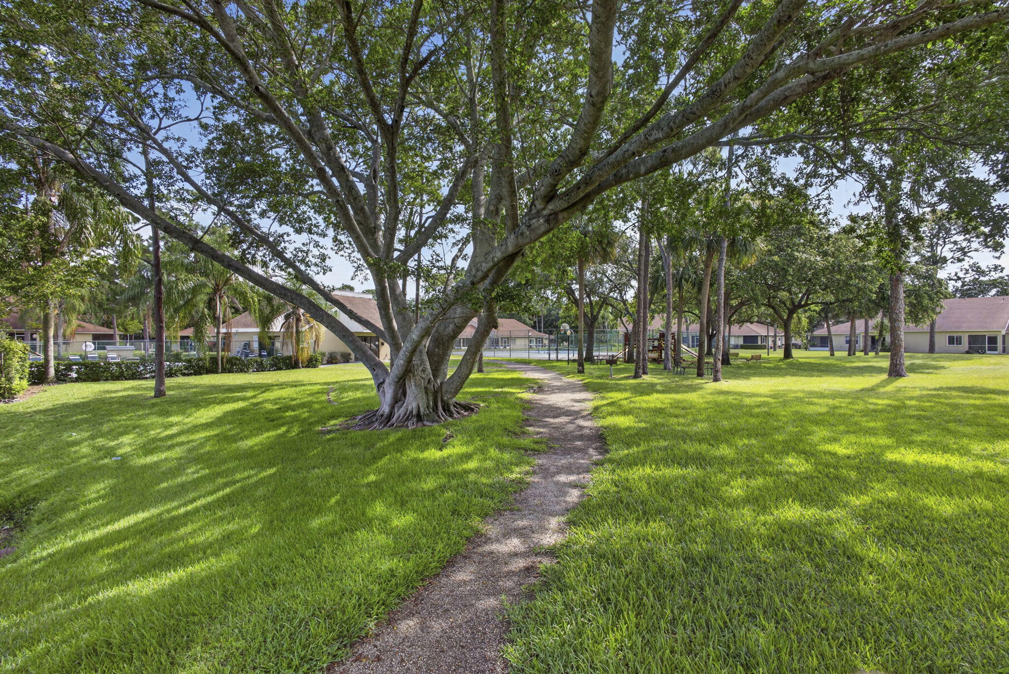 JOGGERS RUN - Residential