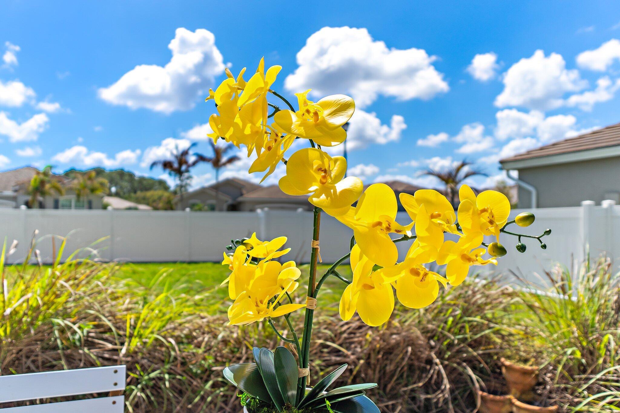 BERRY GROVE - Residential