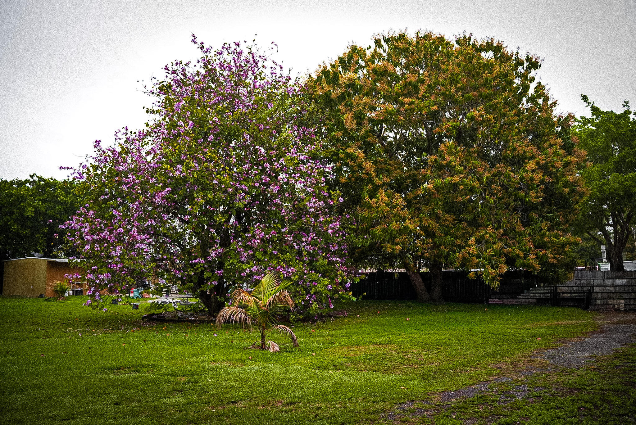 LAKEWOOD GARDENS 1 - Land