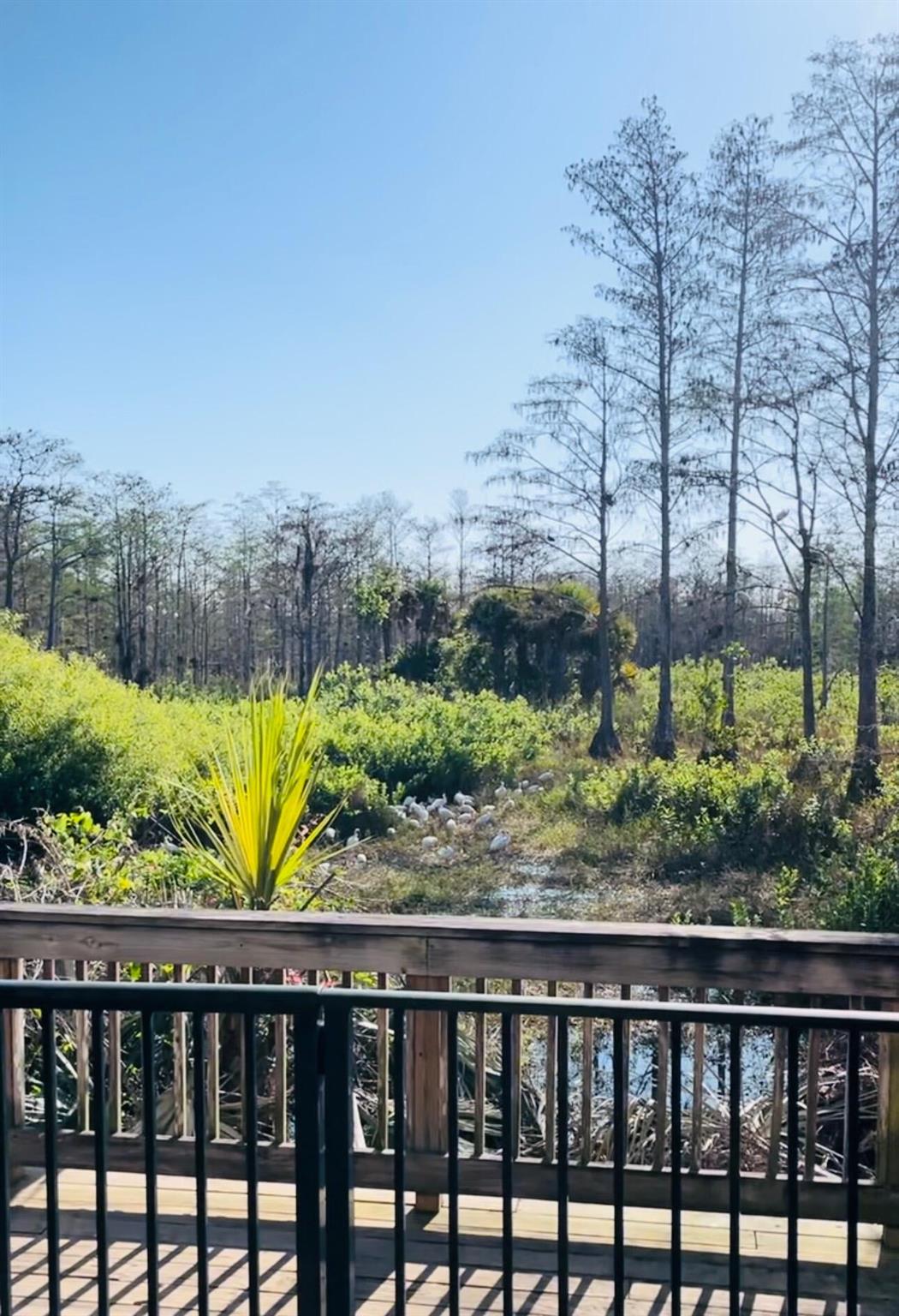 OAKTON PRESERVE REPL - Residential Lease