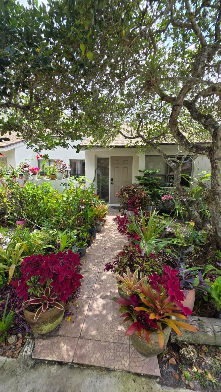 LOCATION, LOCATION:   Welcome to your peaceful escape in the heart of Plantation. Close to Shopping, Restaurants, Highways, University and the popular 'PLANTATION WALK'.   Immaculate well kept 2/2 villa in an established, quiet community of Alpine Woods of Jacaranda. Desirable one story, with bright and open concept living space, vaulted ceilings throughout,  spacious kitchen and two master bedrooms. Laminate floors throughout most of common living and 1 bedroom. Private screened outdoor area, overlooking the water, perfect for mediation, yoga or quiet mornings.  These villas rarely come available so get it while you can.