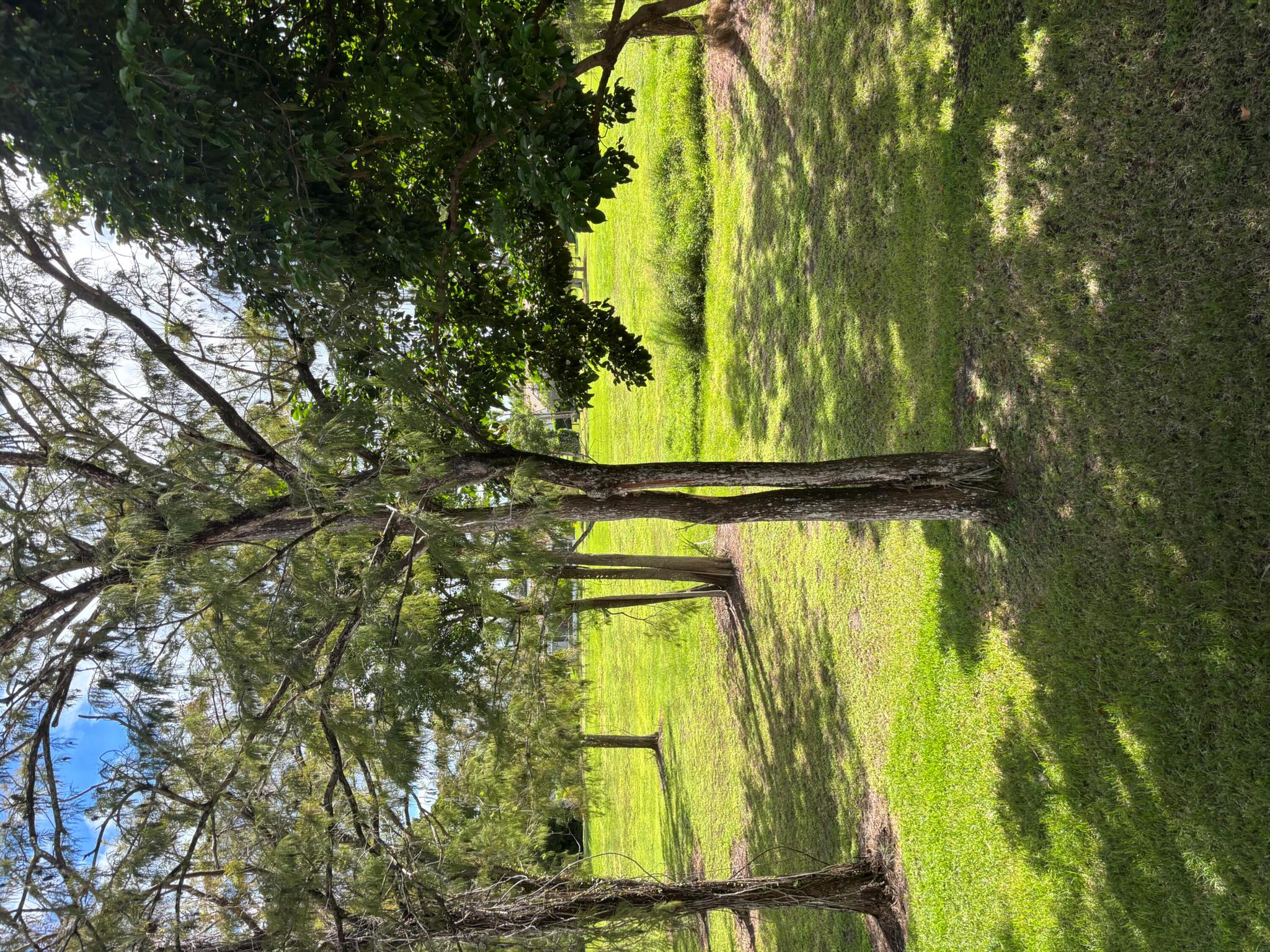 Pines of Boca Lago - Residential