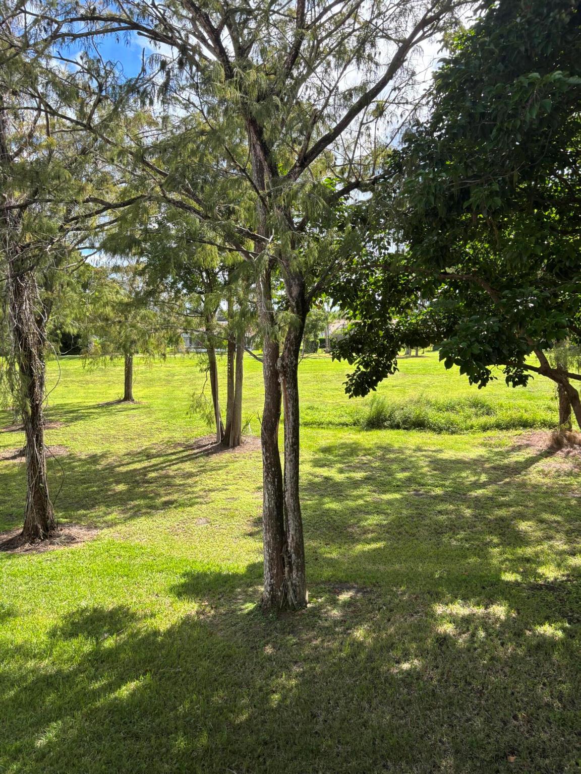 Pines of Boca Lago - Residential