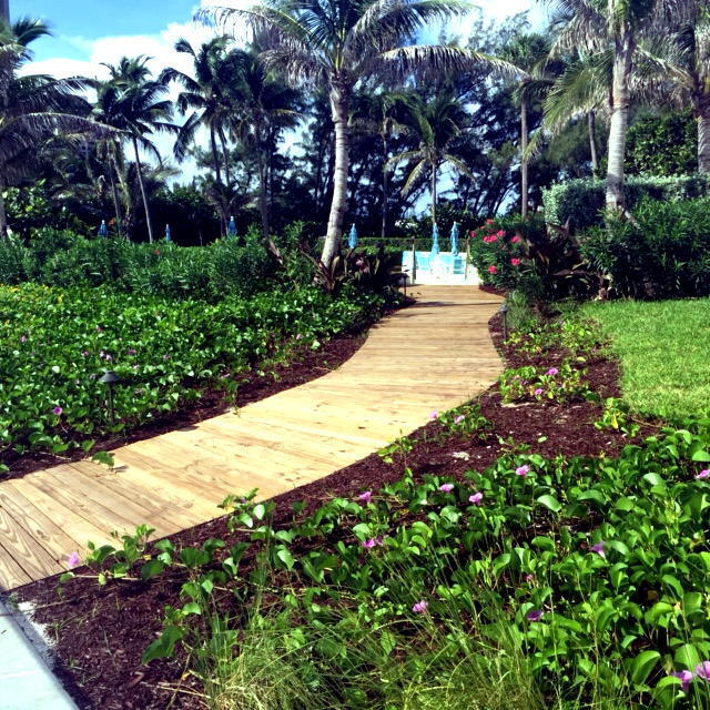 SEAWINDS CONDO - Residential