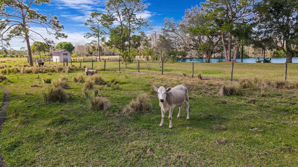 Ranch Estates - Ranch Col - Land