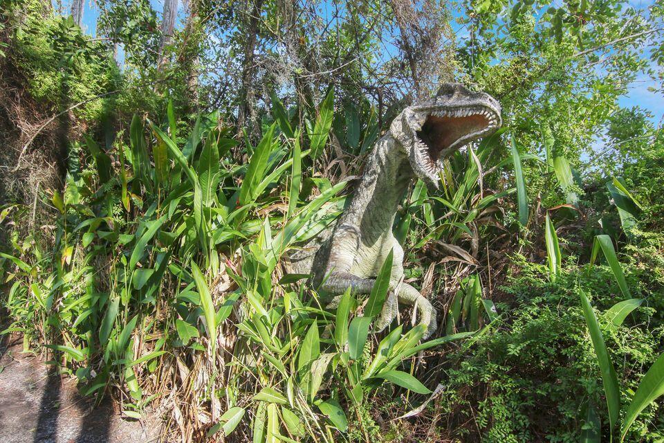 Ranch Estates - Ranch Col - Land