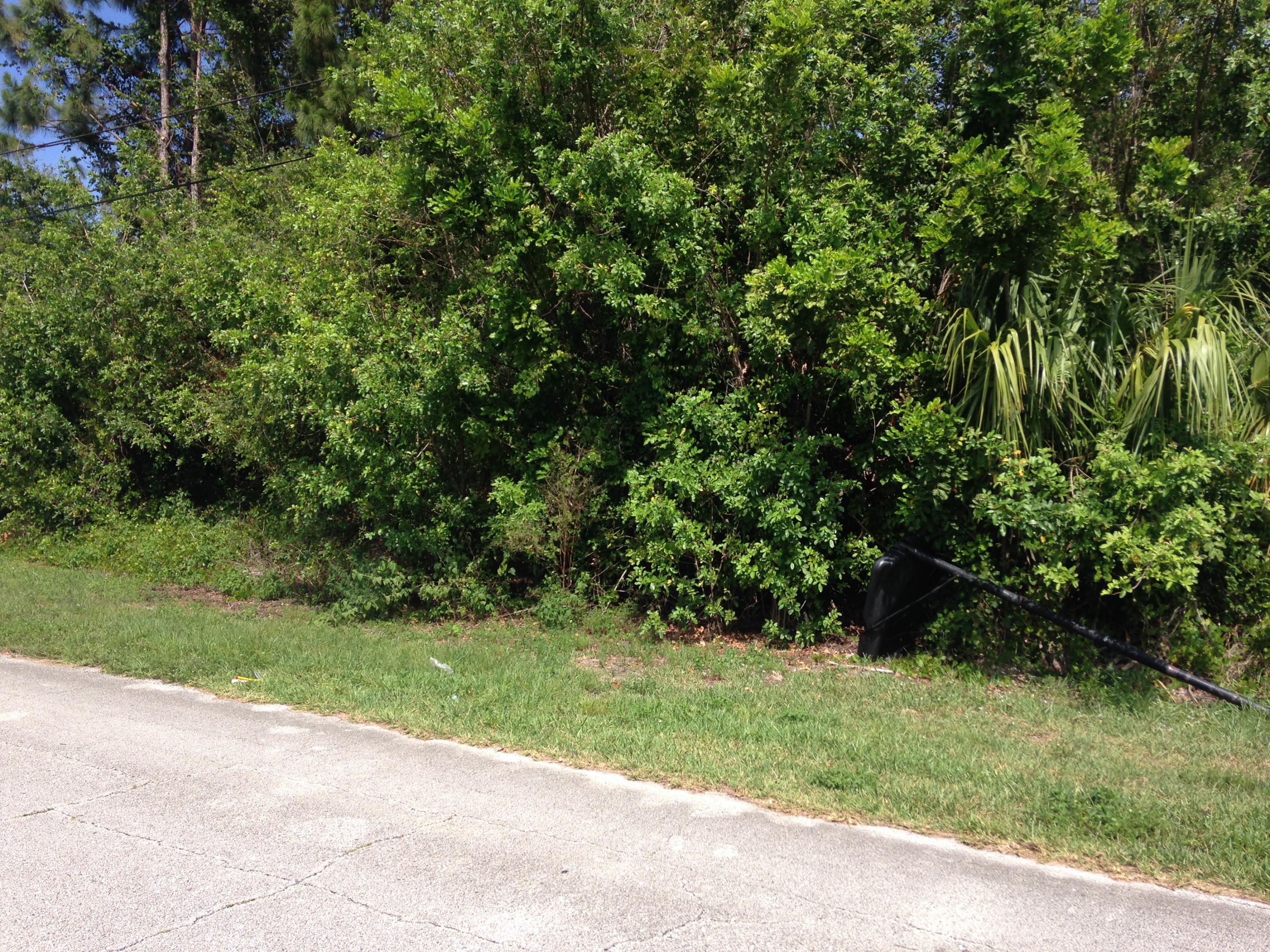 Beautiful lot and great location.
