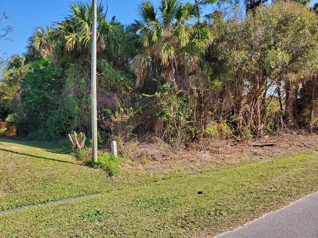 Photo of 2373 SW Pamona Street, Port Saint Lucie, FL 34953 (MLS # R10691446)