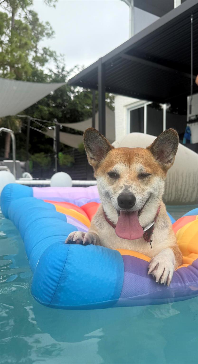 Paddock Park - Residential Lease