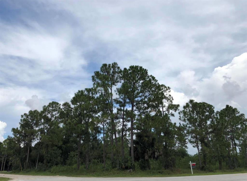 You just found the PERFECT LOCATION for your dream home!! PAVED ROAD!! CORNER LOT!! HIGH & DRY!! Located just one block from Royal Palm Beach Boulevard! Just a 35-minute drive to the BEACH!! A quick 15-minute drive to COSTCO!! Drive by and envision your DREAM HOME on this PERFECT LAND!