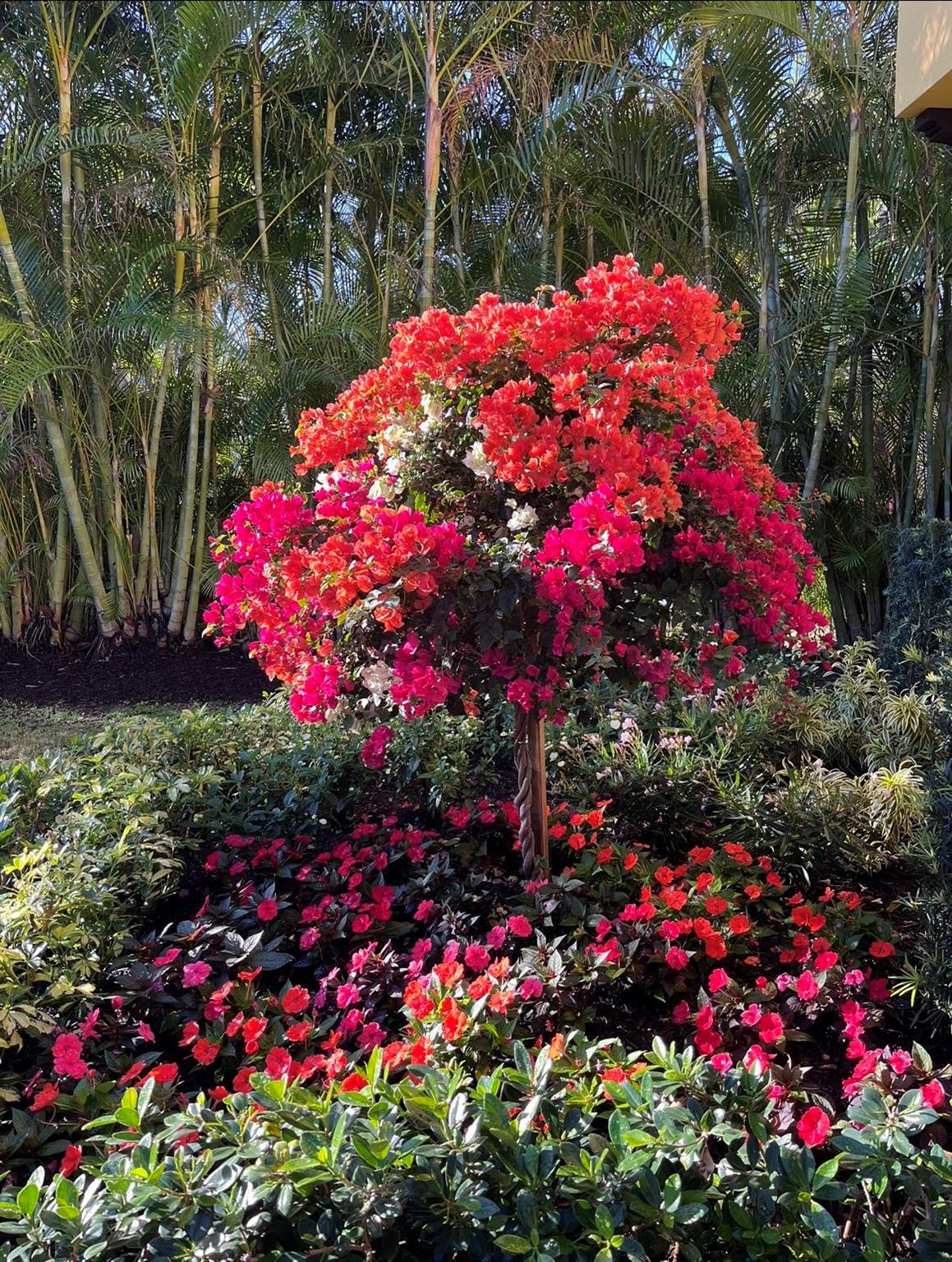 Boca Raton Por La Mar - Residential