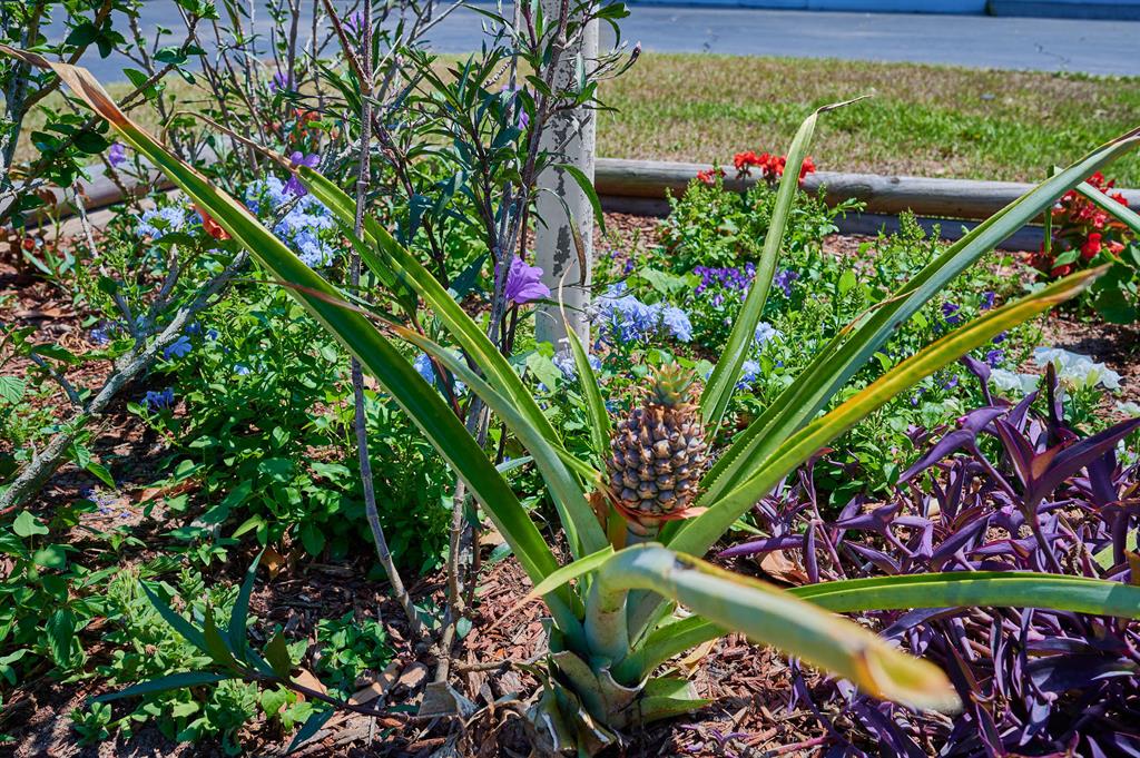 SUNSET HEIGHTS SUB - Commercial Sale