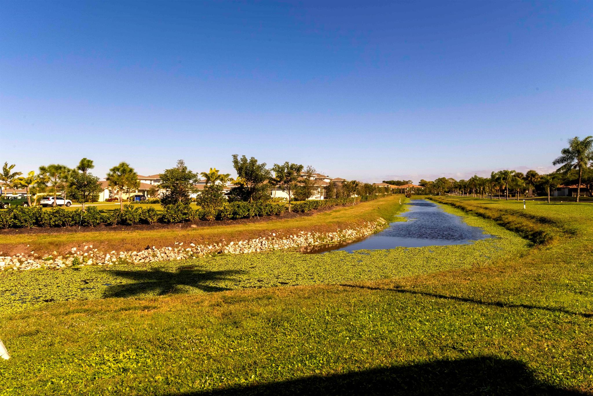 PALM GREENS - Residential