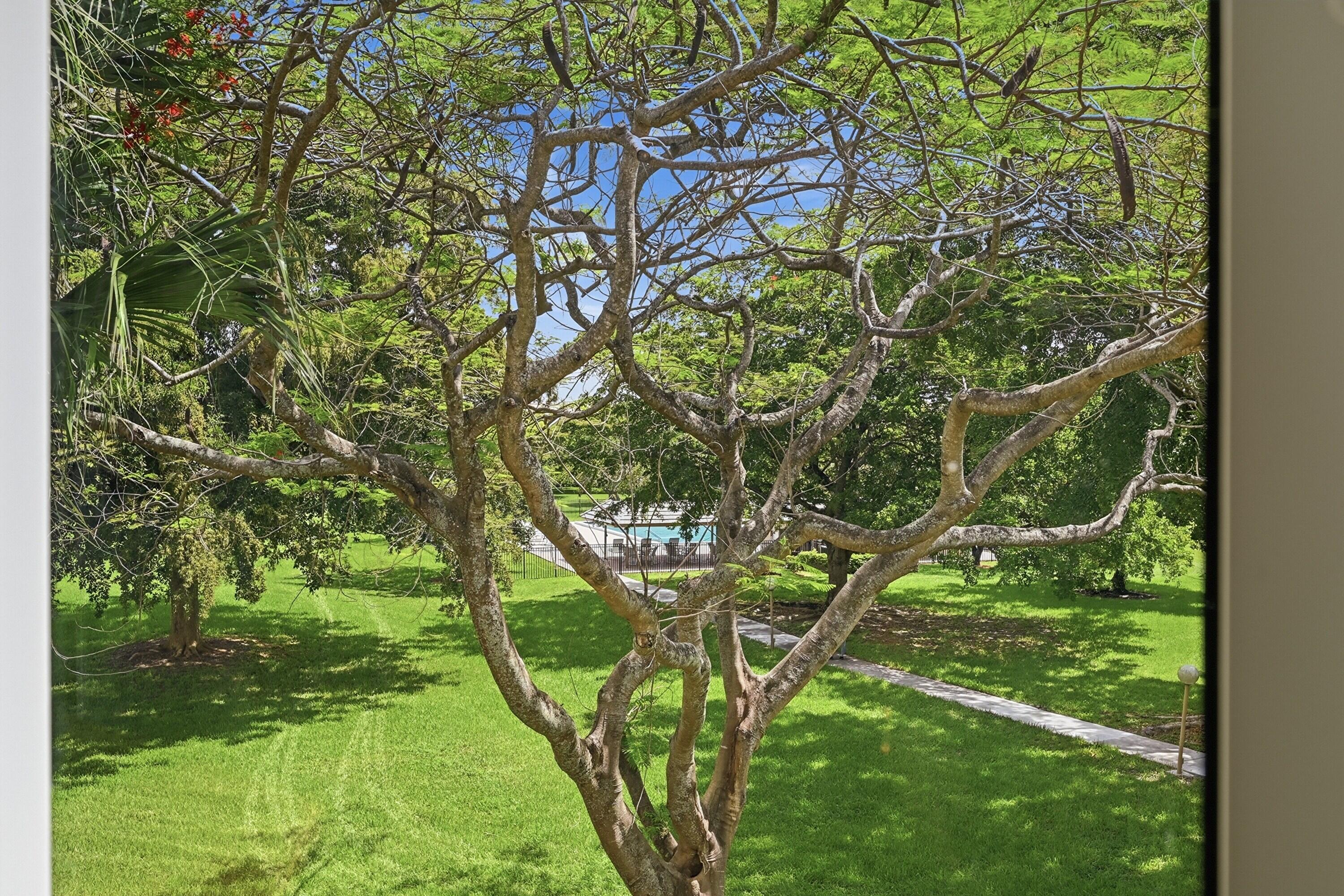 ABACO VILLAGE C CONDO - Residential