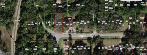 1789 W Henry Blair Lane Dunnellon FL 34434