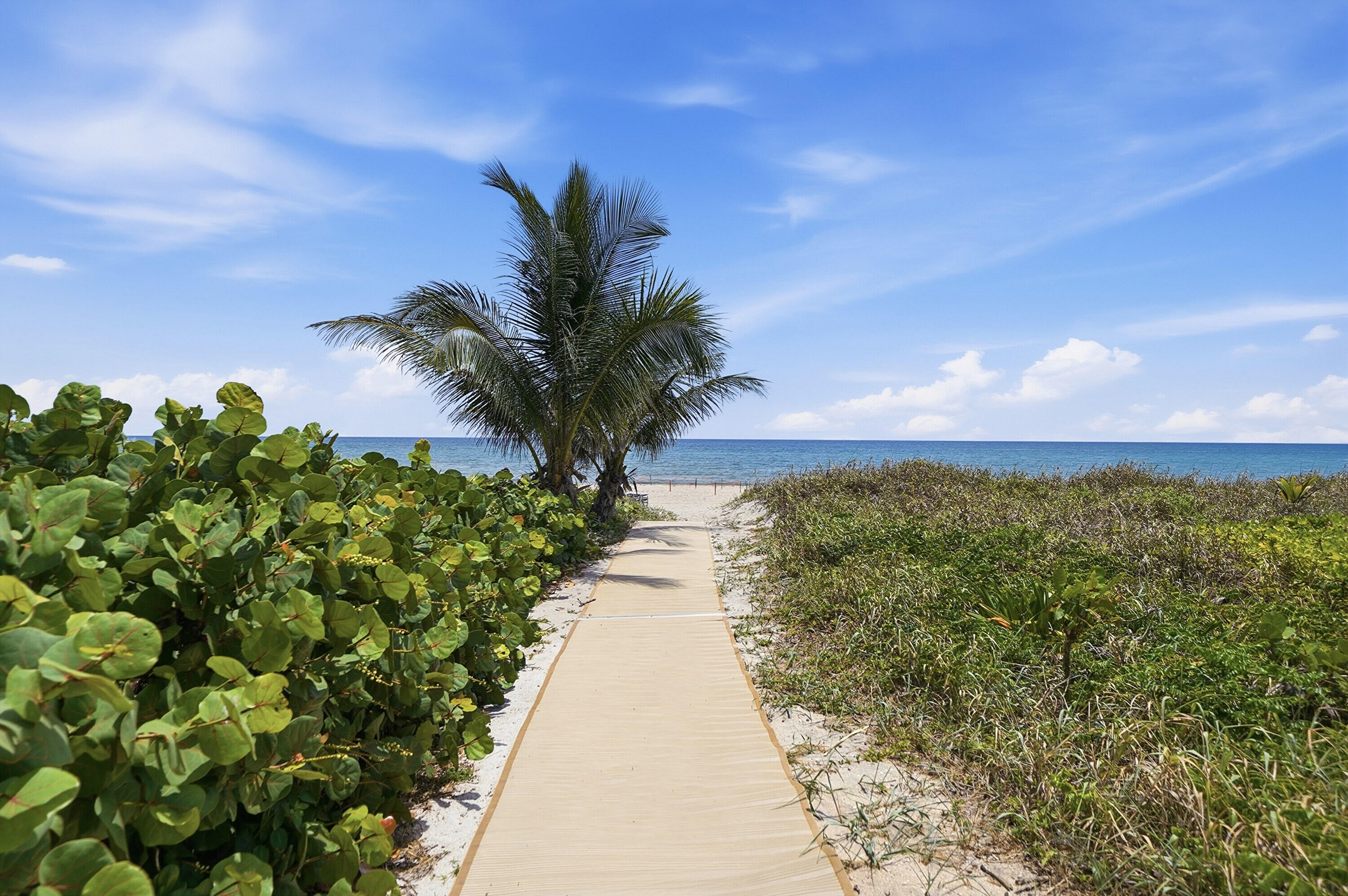 SABAL POINT APTS CONDO - Residential