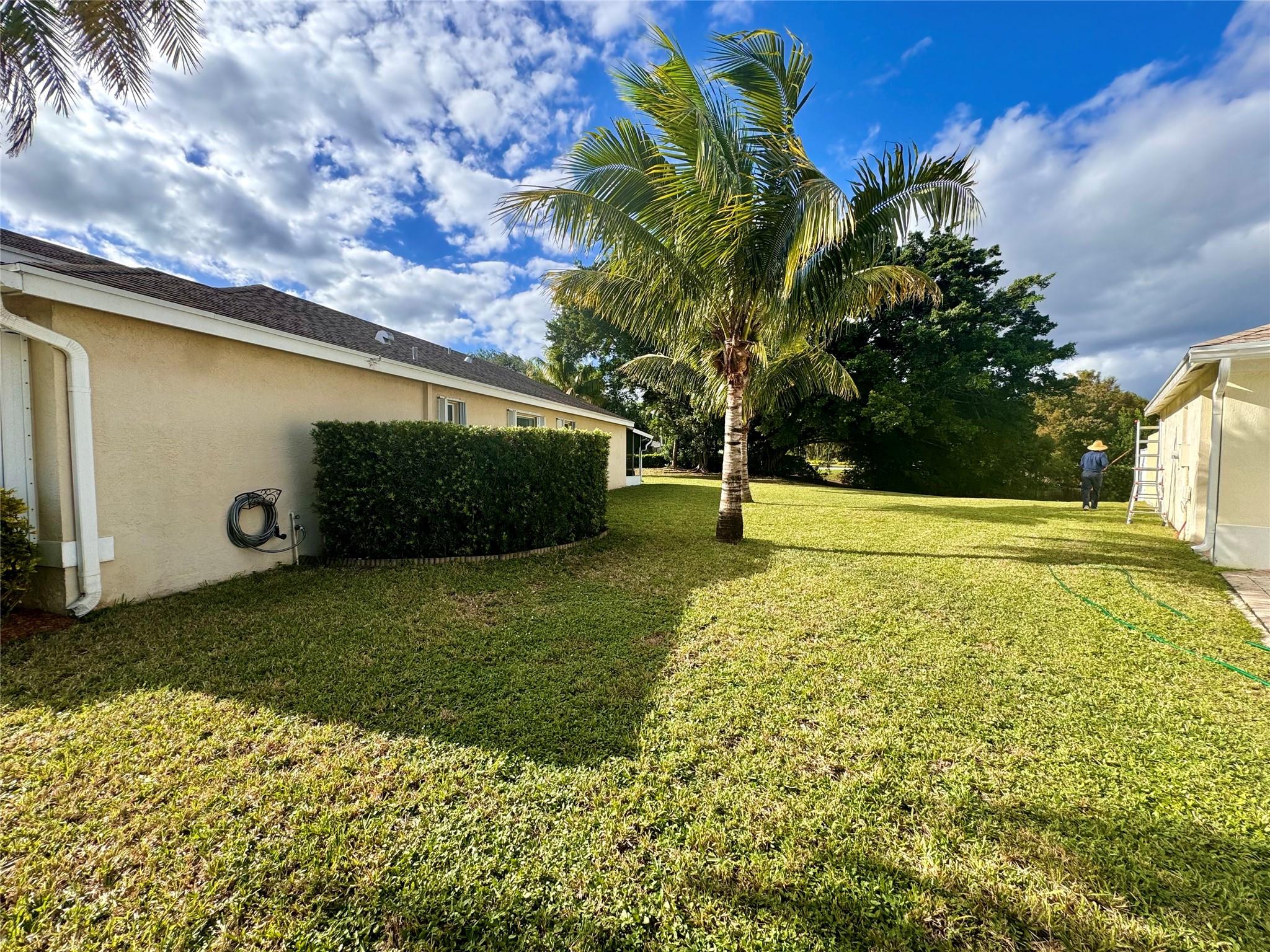 OLIVE TREE PAR 5D - Residential