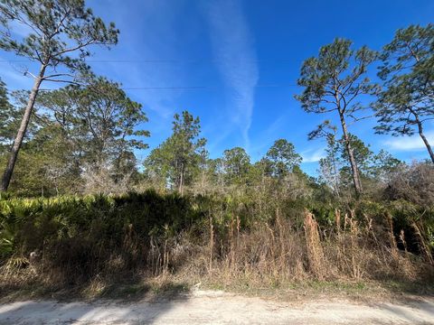 0 Appaloosa Avenue Interlachen FL 32148