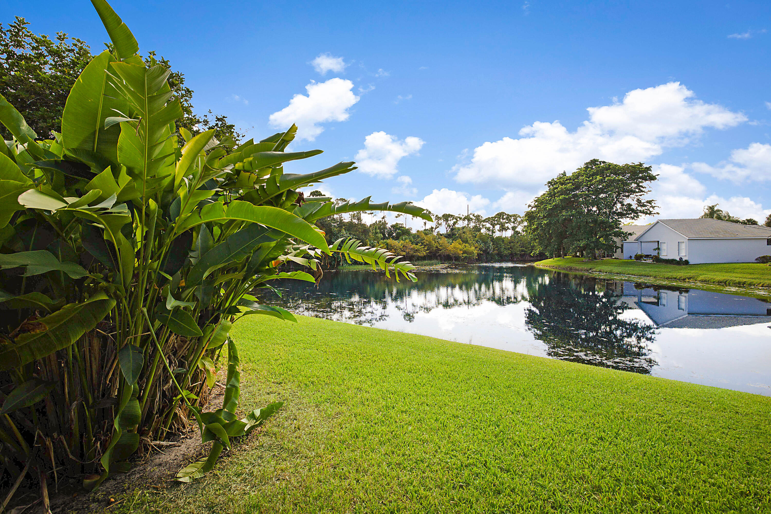 HARBOUR POINTE AT RIVER BRIDGE CONDO - Residential