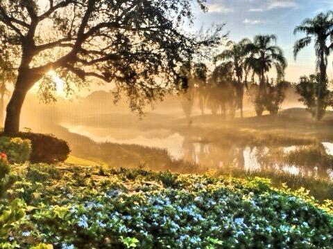 MONTEREY POINTE 2 - Residential