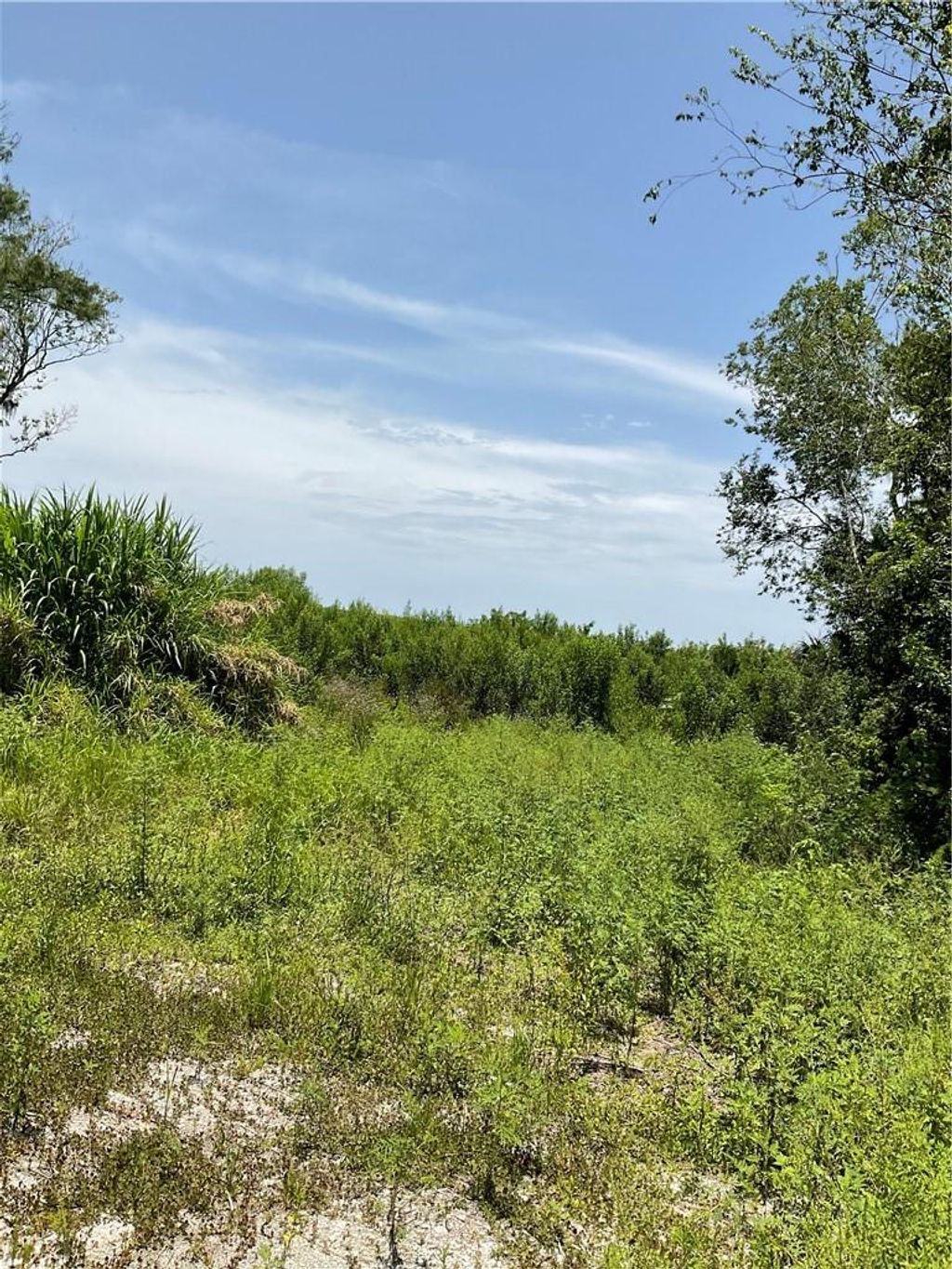 Photo of 15900 SW Conners Highway, Okeechobee, FL 34974 (MLS # F10389212)