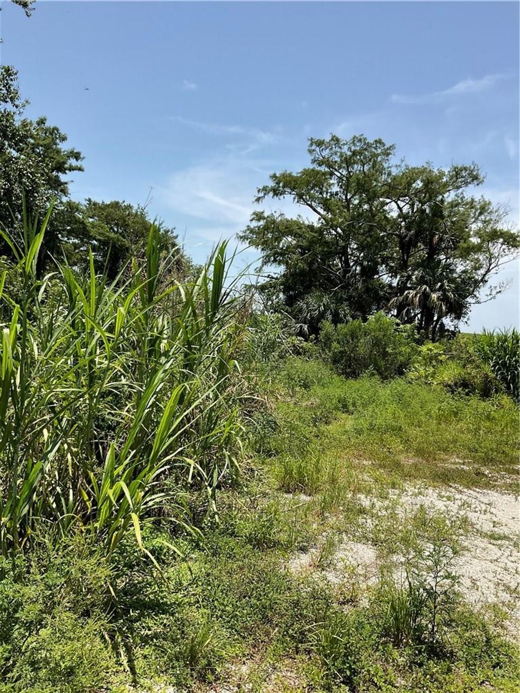 Photo of 15900 SW Conners Highway, Okeechobee, FL 34974 (MLS # F10389212)