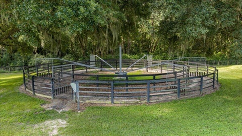 Tiny photo for 11140 NW 160th Avenue, Morriston, FL 32668 (MLS # B26090712)
