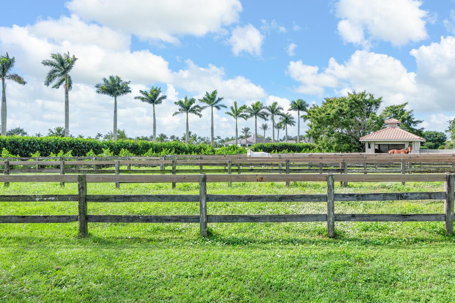 PALM BEACH POINT - Residential