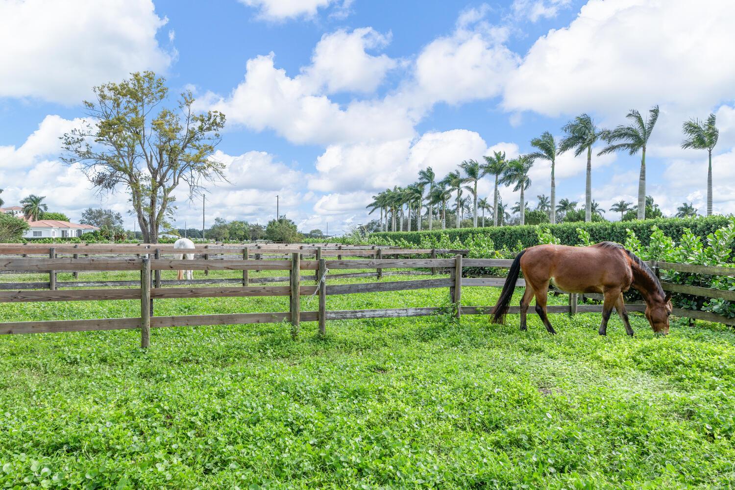 PALM BEACH POINT - Residential