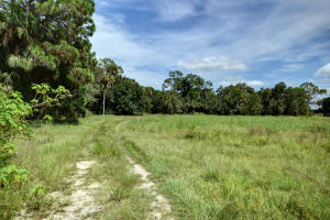 Orange Avenue Citrus Growers Association - Residential