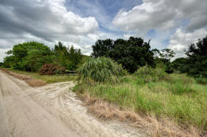 Orange Avenue Citrus Growers Association - Residential