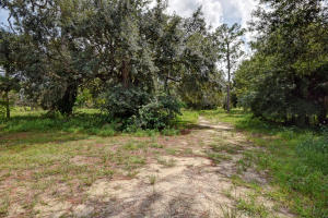 Orange Avenue Citrus Growers Association - Residential
