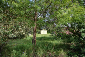 Orange Avenue Citrus Growers Association - Residential
