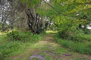 Orange Avenue Citrus Growers Association - Residential