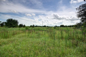 Orange Avenue Citrus Growers Association - Residential