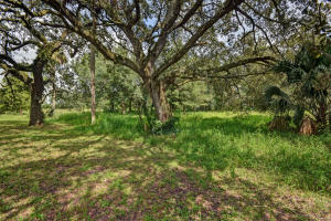 Orange Avenue Citrus Growers Association - Residential
