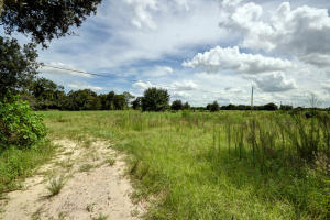 Orange Avenue Citrus Growers Association - Residential
