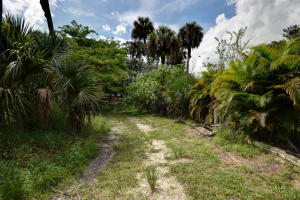 Orange Avenue Citrus Growers Association - Residential