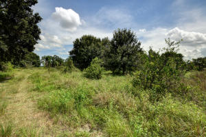 Orange Avenue Citrus Growers Association - Residential