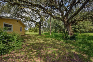 Orange Avenue Citrus Growers Association - Residential