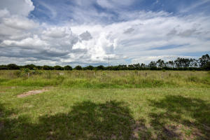 Orange Avenue Citrus Growers Association - Residential